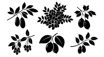 Black leaf, branch, and berry vector icons, set of 6, minimalist design elements, botanical illustrations, clip art, graphic design assets © Uno