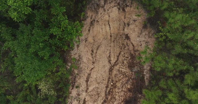 Aerial view of landslide forest mountain after typhoon