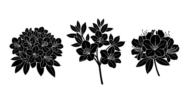 Silhouette Azalea Blossoms and Bush Vector Graphics