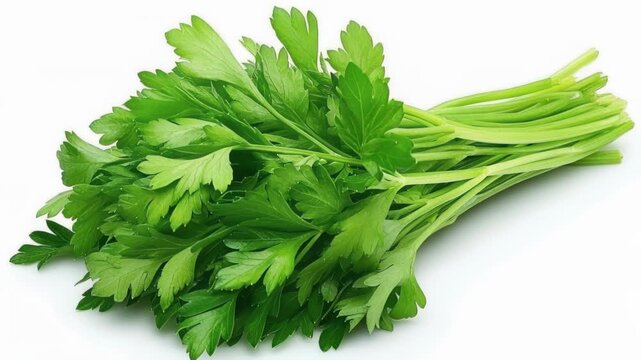 Fresh Parsley Bunch: A vibrant, close-up shot of a fresh parsley bunch, showcasing its lush, bright green leaves and delicate stems, perfect for culinary and herbal uses.