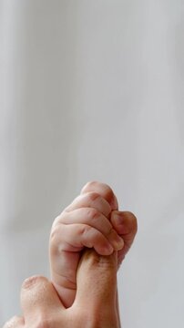 Newborn baby hand holding adult finger against white background close up