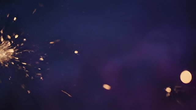 Fireworks explode in night sky scene.