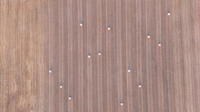 Aerial view of white hay bales scattered across a harvested field with vertical furrows in Geneva, Geneva, Switzerland.
