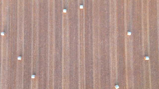 Aerial view of a plowed agricultural field with vertical furrows in the countryside of Geneva, Geneva, Switzerland.