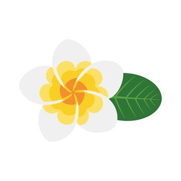 Beautiful Plumeria Flower with Green Leaf Illustration. Vector Icon. EPS Editable