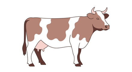 Fototapeta premium Brown and white cow standing, side view, farm animal.