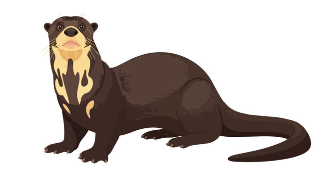 Giant Otter Illustration with Brown Fur and Cream Throat Patch Isolated on White Background