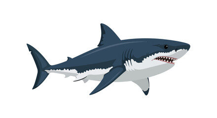 Naklejka premium Powerful Great White Shark Illustration Isolated on White Background with Sharp Teeth