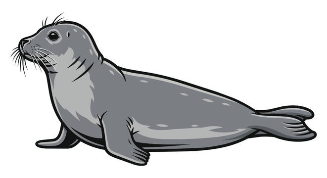 Gray Seal Illustration Side View Isolated on White Background