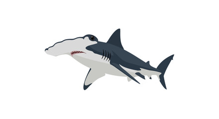 Fototapeta premium Hammerhead Shark Swimming Illustration Isolated on White Background