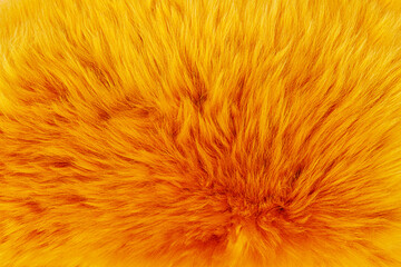 Fototapeta premium Bright orange fur texture on a soft surface in natural light, showcasing the rich colors of the material