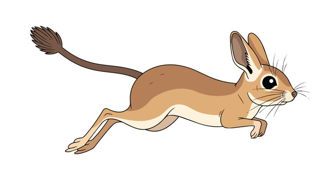 Jerboa Jumping Desert Rodent Illustration Isolated on White Background
