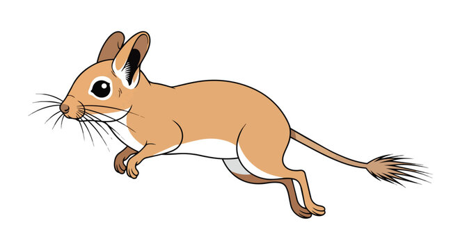 Cute brown jerboa jumping desert rodent with long tail and large ears illustration isolated on white background