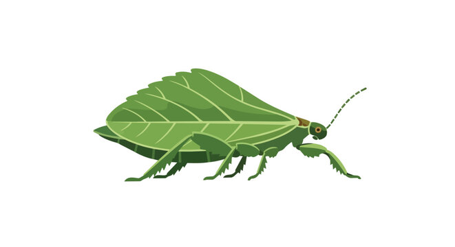 Realistic Green Leaf Insect Illustration for Nature and Wildlife Design, Katydid Mimicry Isolated on White