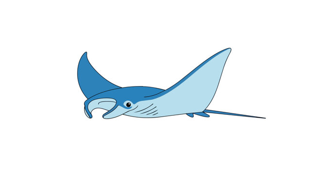 Blue Manta Ray Sea Creature Illustration Isolated on White Background