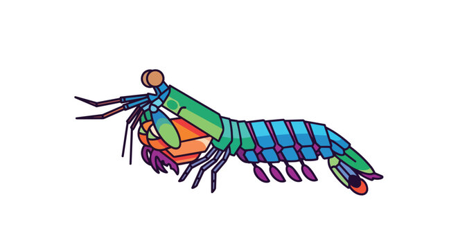 Colorful Mantis Shrimp Illustration with Vibrant Geometric Patterns Isolated on White Background