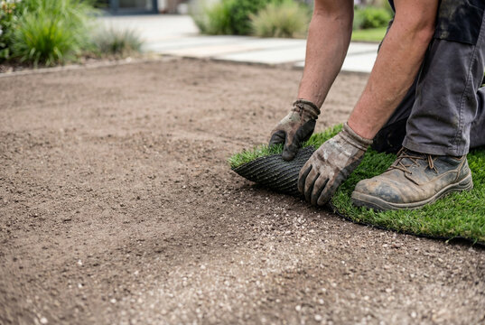 A diligent landscaper meticulously unfurling a single roll of dark green artificial turf on ground