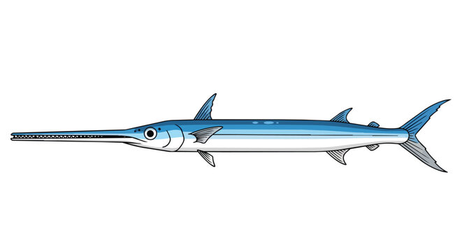 Realistic needlefish illustration with long beak and blue scales isolated on white background