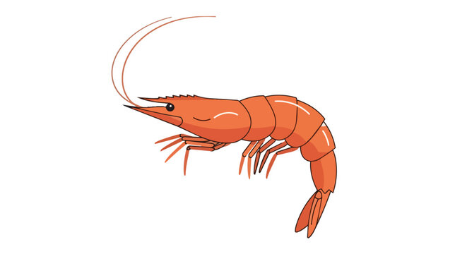 Realistic Red Shrimp Illustration Isolated on White Background for Seafood and Culinary Design