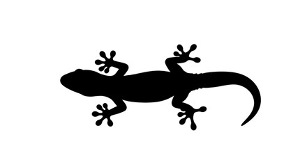 Fototapeta premium Black silhouette of a lizard.