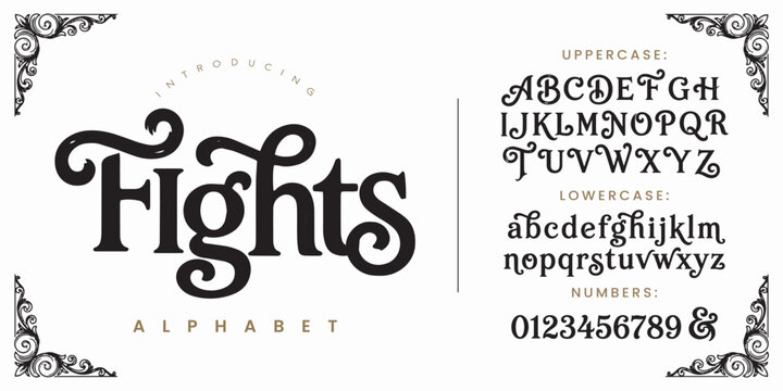 Fights creative script display font with swirl decorative elements for vintage sport or branding apparel