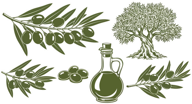 Olive oil, green leaves, olives, tree, vector icons, healthy food, kitchen ingredients