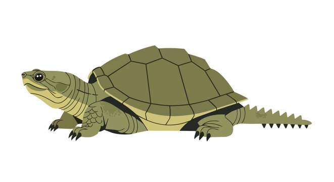 Snapping Turtle Illustration Isolated on White Background Side View Reptile Wildlife
