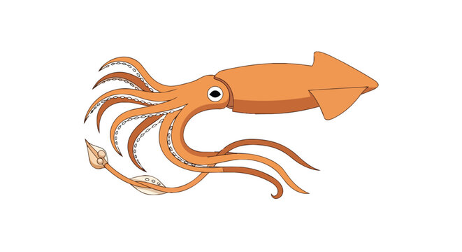 Orange squid illustration with long tentacles isolated on white background