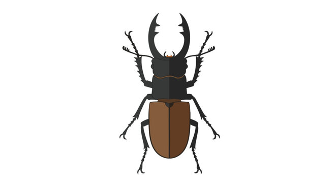 Brown and Black Stag Beetle Illustration with Large Mandibles Isolated on White Background