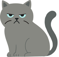 Cat9 © My