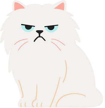 Cat5