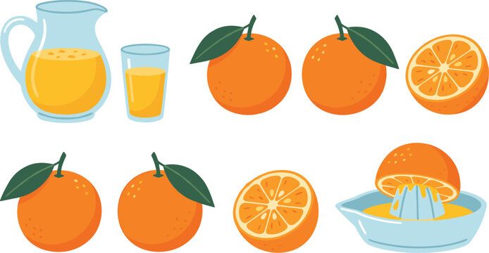 Fresh Orange Fruit and Juice Vector Set Sliced Squeezed Pitcher Glass Isolated White Background Food