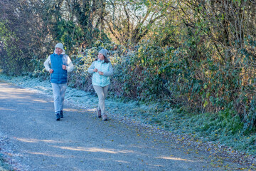 Fototapeta premium happy senior couple jogging on frosty path, cool weather, morning jog, active lifestyle, healthy enjoying active aging together sports, fitness during, healthier routine in nature, daily exercise