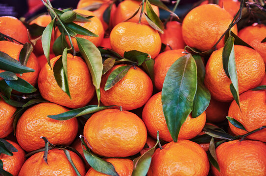 fresh clementines for sale at a farmers market