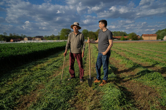 Two farmers senior and middle aged man standing on the agricultural field with tools