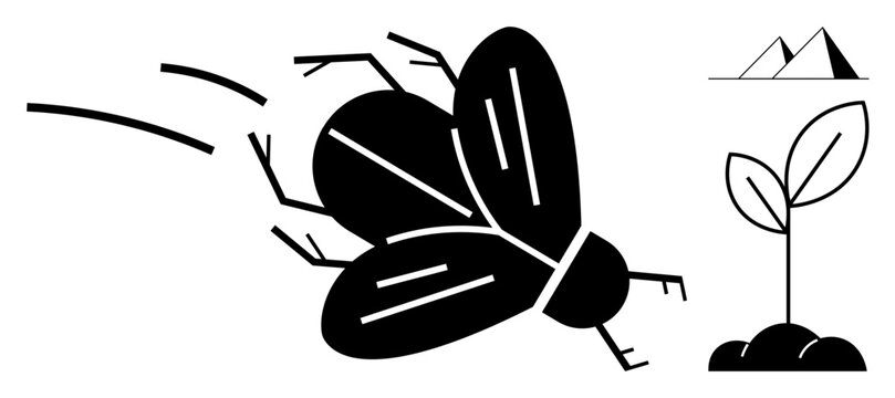 Environmental protection, biodiversity, sustainability, natural growth, eco-systems, wildlife study. Black and white fly, sprouting plant and mountain. Environmental protection and biodiversity