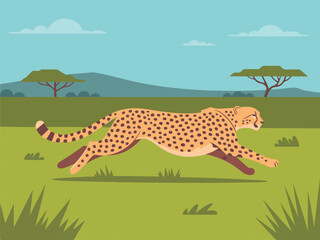 Flat vector illustration of a fast cheetah running through the African savanna with acacia trees and a blue sky background for wildlife and nature concepts. © md siam ali 