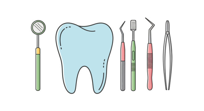 Dental tools and tooth model.