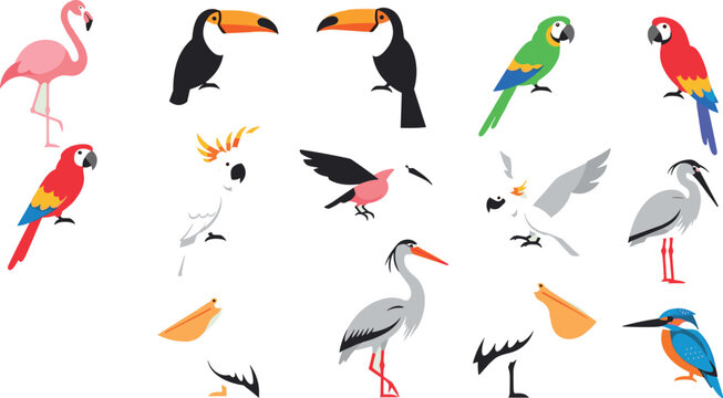 Colorful tropical bird vector collection with flamingo toucan parrot cockatoo heron and kingfisher wildlife illustrations