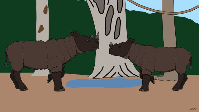 Sumatran Rhinoceros: The Leuser Lineage

