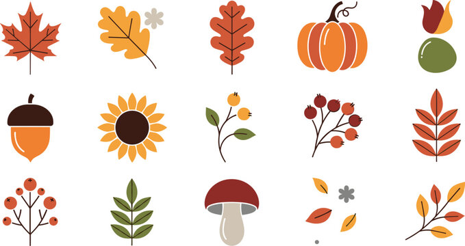 Autumn nature vector collection with fall leaves pumpkin acorn sunflower mushroom and seasonal botanical elements