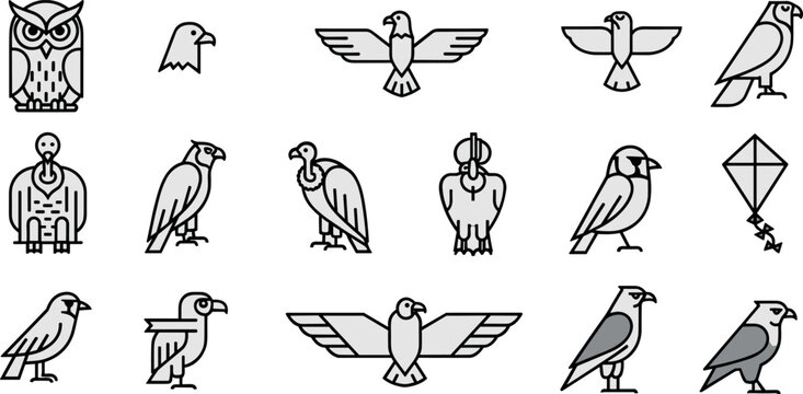 Bird outline vector collection with owl eagle vulture parrot and flying wildlife icons for nature design