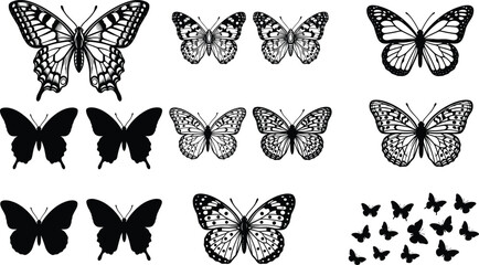 Butterfly silhouette and detailed wing vector collection with flying insect sets for decorative nature projects © MdSumon
