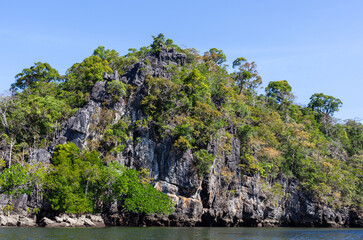 Koh Tarutao, Andaman Sea. Tropical island with rocky cliffs and dense greenery. Mangrove river along the shoreline. © Eugene Ga