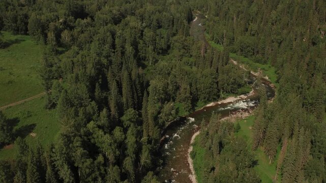 Drone view of a winding mountain river cutting through dense taiga forest and green meadows in Altai, Russia, a pristine wilderness landscape for travel and nature themes