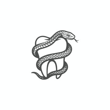 Vector illustration of a snake logo icon wrapped around its teeth.