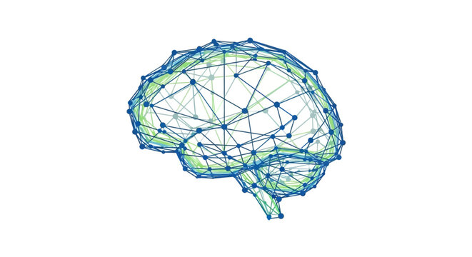 Digital human brain network wireframe on white background