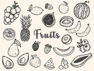 Fototapeta premium hand drawn doodle fruits illustration vintage botanical nature element