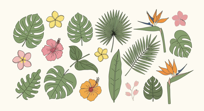 Vibrant collection of exotic tropical leaves and flowers, including monstera, palm fronds, hibiscus, and bird of paradise, perfect for summer designs and patterns