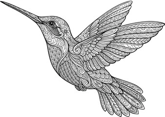 Intricate black and white hummingbird vector illustration with mandala patterns for adult coloring book pages, decorative wall art, and tribal tattoo design elements isolated on white. © Dipankar